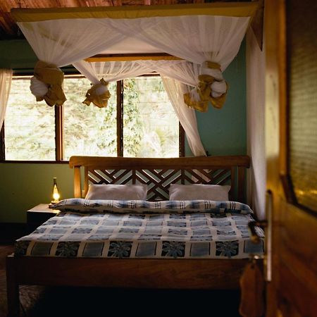Sanna Eco Lodge Arusha Værelse billede